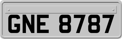 GNE8787