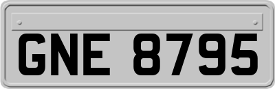 GNE8795