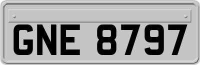 GNE8797