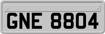 GNE8804