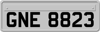 GNE8823