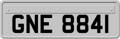 GNE8841