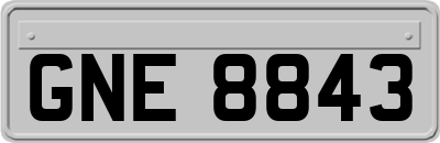 GNE8843