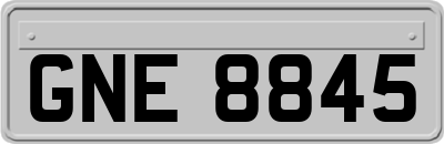 GNE8845