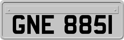 GNE8851