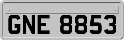 GNE8853