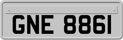GNE8861