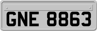 GNE8863