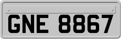 GNE8867