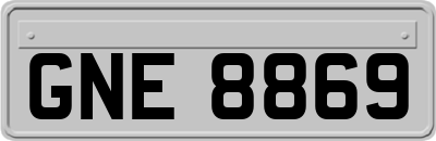 GNE8869