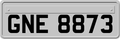 GNE8873