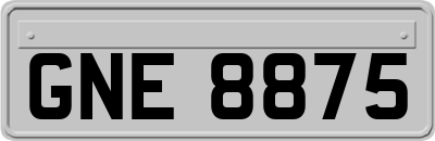 GNE8875