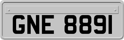 GNE8891