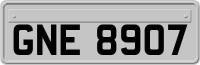 GNE8907