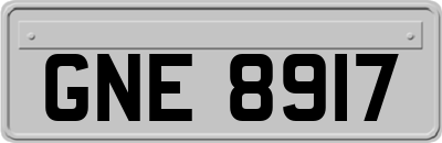 GNE8917