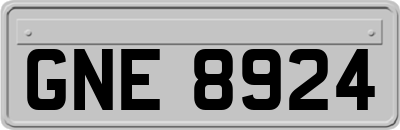 GNE8924