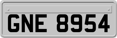 GNE8954