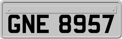 GNE8957