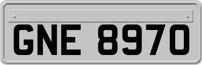 GNE8970