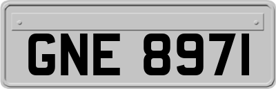GNE8971