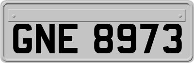 GNE8973