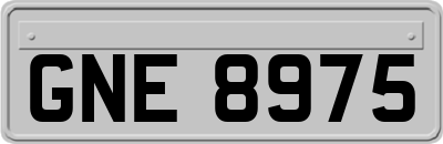 GNE8975