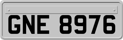 GNE8976