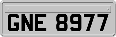 GNE8977