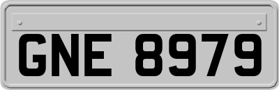 GNE8979