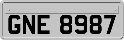 GNE8987