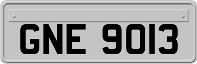 GNE9013