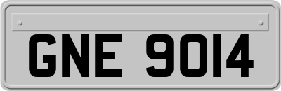 GNE9014