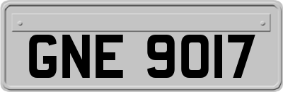 GNE9017