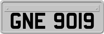 GNE9019