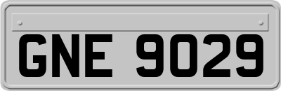 GNE9029