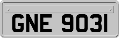 GNE9031