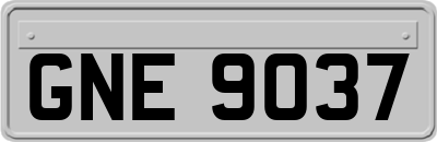 GNE9037