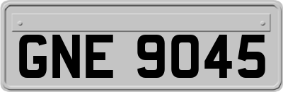 GNE9045