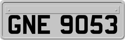 GNE9053