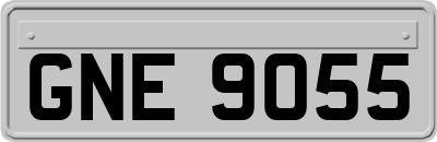 GNE9055