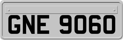 GNE9060