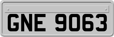 GNE9063