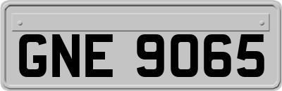 GNE9065