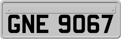 GNE9067