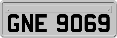 GNE9069