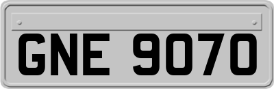GNE9070