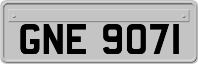 GNE9071