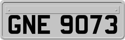 GNE9073