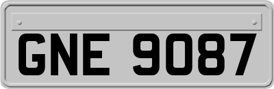GNE9087