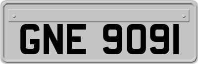 GNE9091